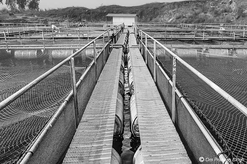 The catwalk, cage rails and the nets at the fish farm in the mining pit in Nandna village, Dumka district, Jharkhand
